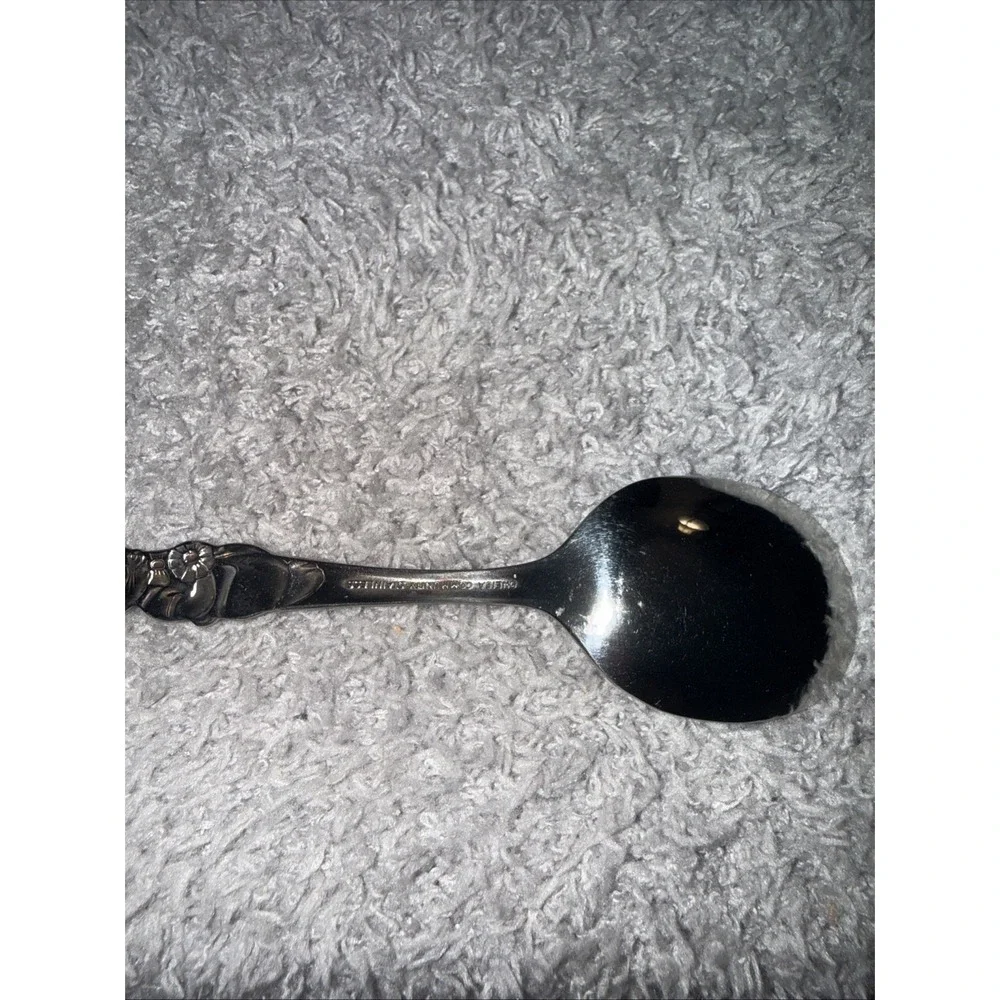 ONEIDA Stainless Silver 4.5